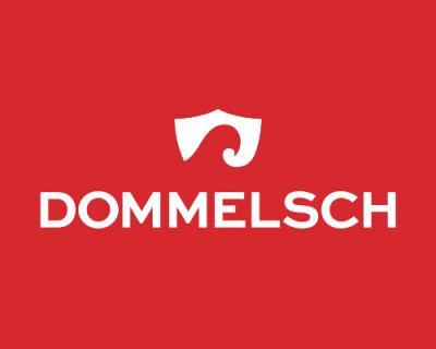 Dommelsch Logo Dommelsch Logo